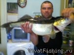 р.Волга г.Тверь. Судак 5.3кг