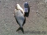 начало