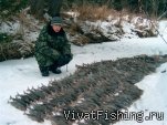 Так ловят на Дальнем Востоке!