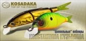 Kosadaka+К.Кузьмин