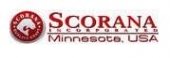 Scorana
