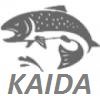 Kaida
